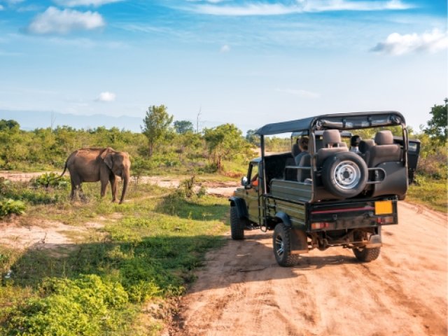 Book South Africa v England 2026-27 cricket tour to follow England to South Africa with safari - image