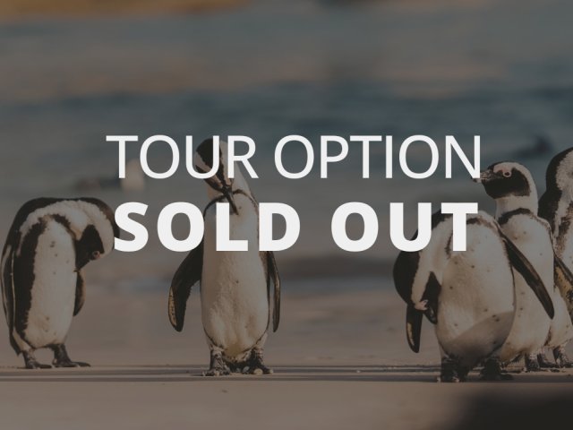 Book South Africa v England 3rd Test Match- guaranteed official Test Match ticket packages and accommodation with Gullivers Sports Travel - Penguin SOLD OUT