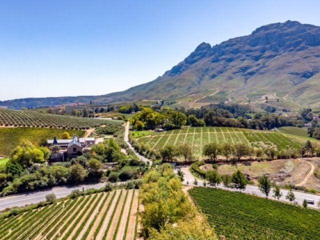 Full day Stellenbosch and Winelands Experience - South Africa v England Cricket Tour