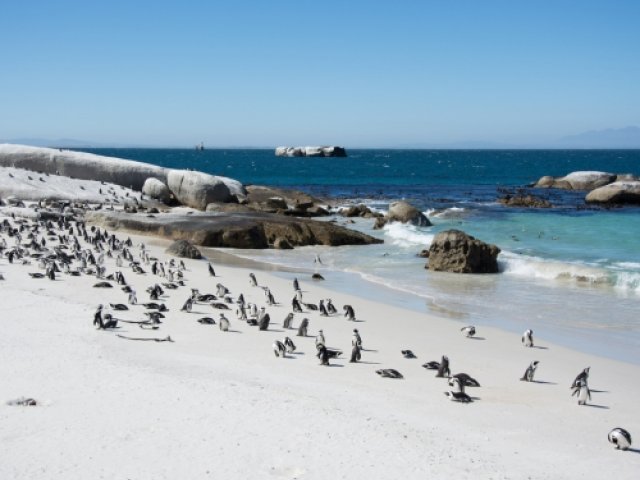 Full-Day Cape Peninsula Hidden Corners Explorer Tour - South Africa v England Cricket Tour