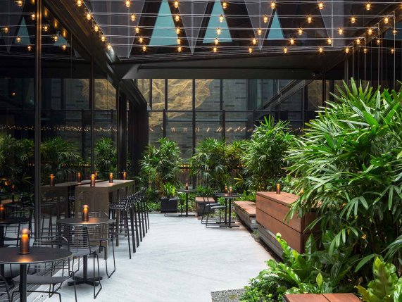 West Hotel Sydney Curio Hilton hotel-bar image