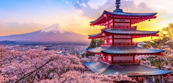 Japan v Wales 2025 ticket packages for Welsh rugby fans - Wales Summer Tour 2025 image