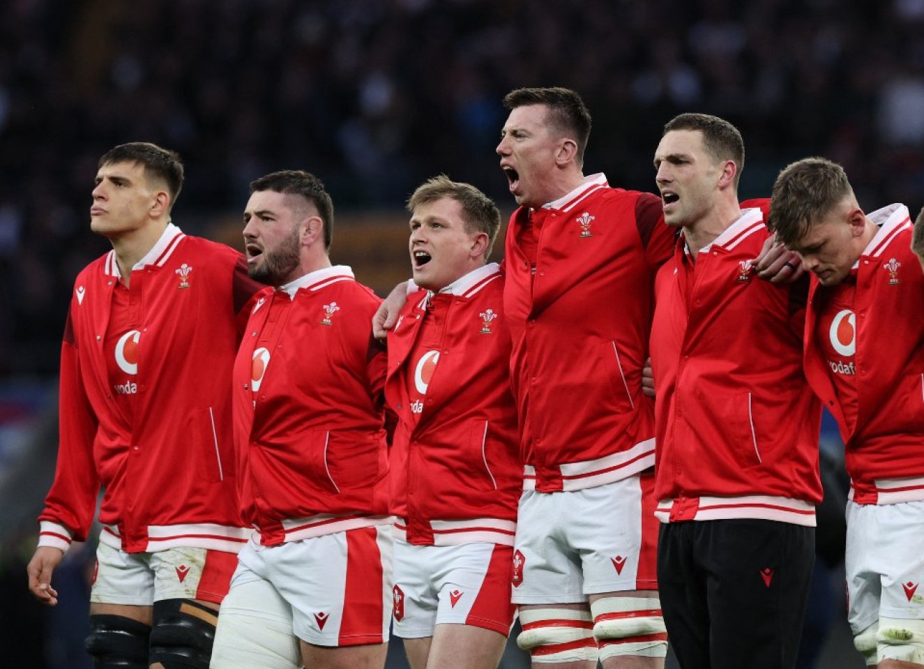 Wales Autumn Nations Series 2024 ticket hotel travel packages image