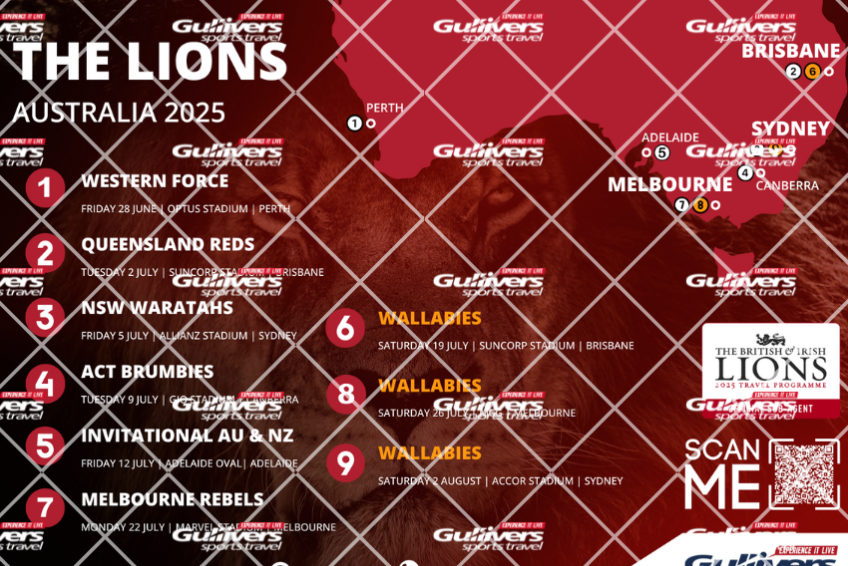 The Lions wallchart download image.png