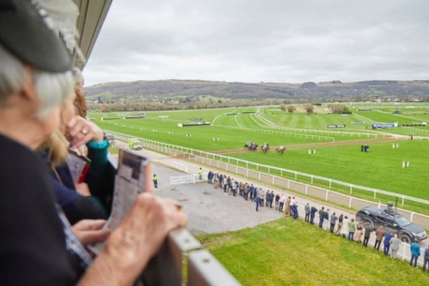 Cheltenham Festival Hospitality