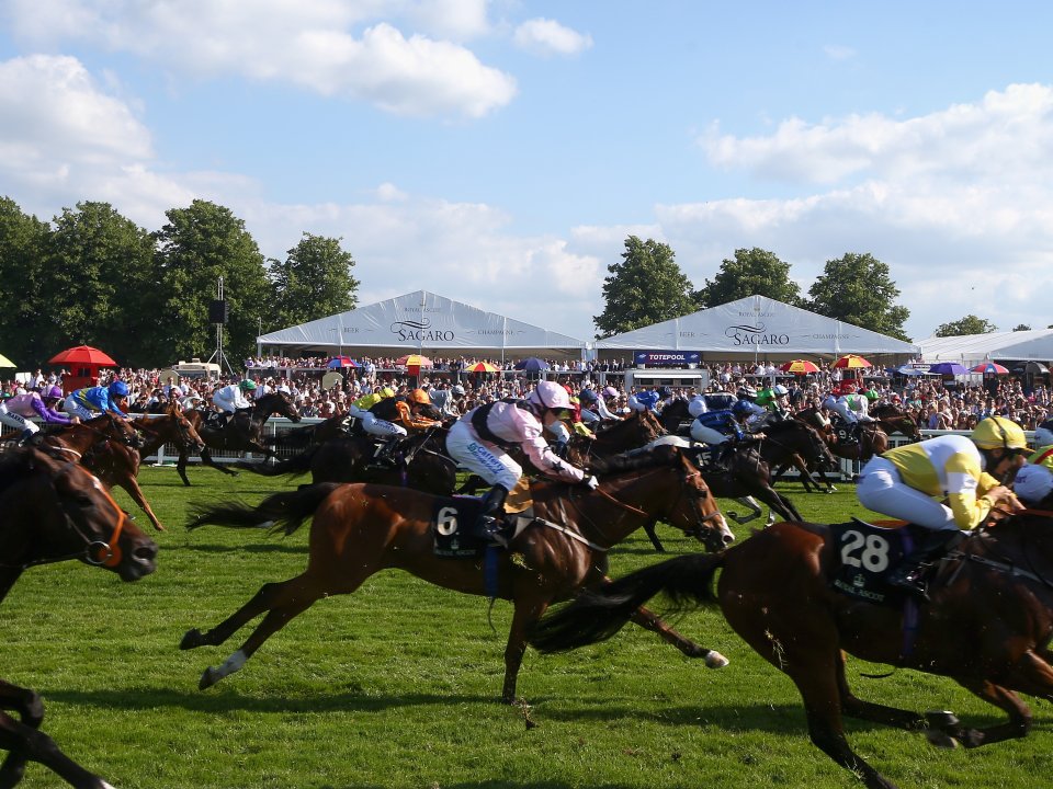 Royal Ascot 2024 Hospitality Packages with Tickets Gullivers Sports
