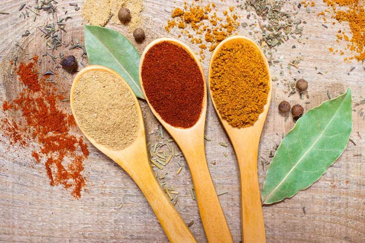 Rajkot spices 