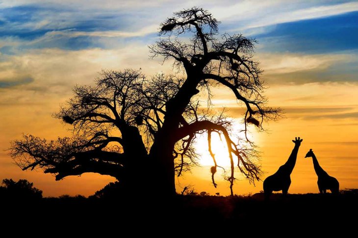 south africa destination guide gullivers sports travel