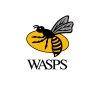 Wasps RFC 